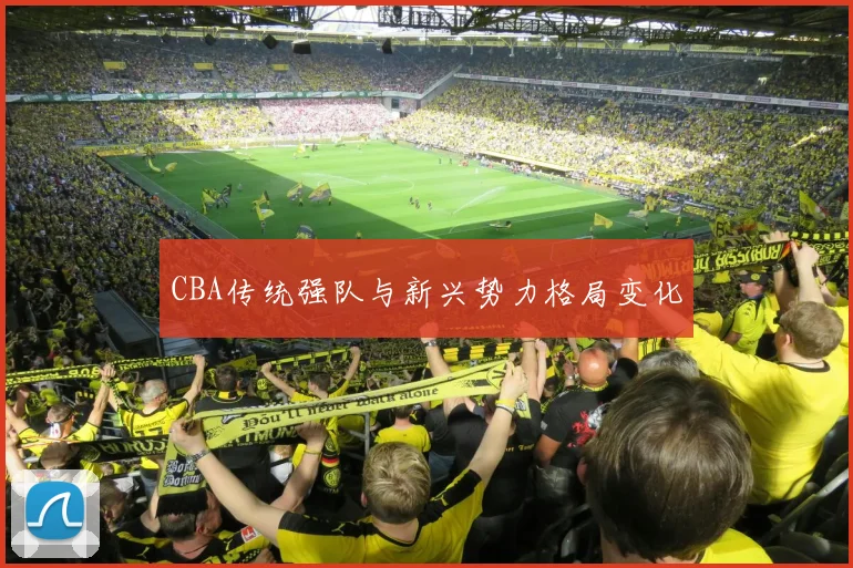 CBA传统强队与新兴势力格局变化