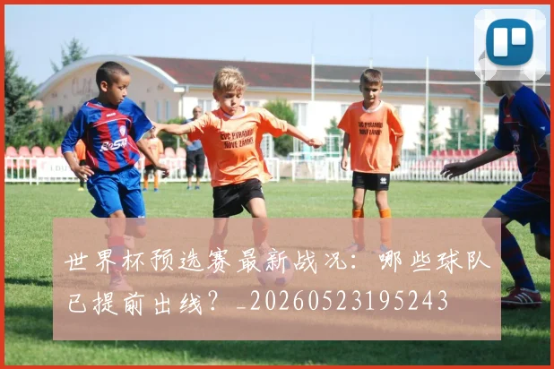 世界杯预选赛最新战况:哪些球队已提前出线?_20260523195243